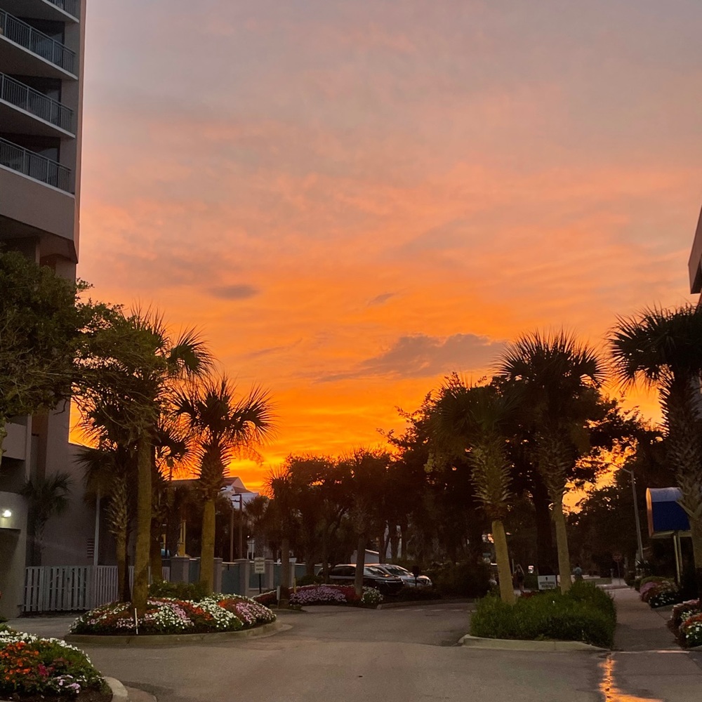 Meet your Posher, Aubrey